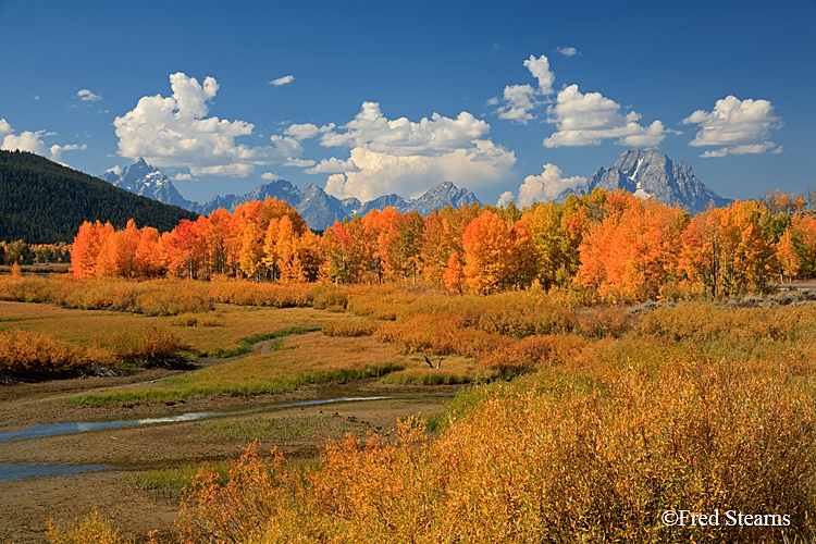 Grand Teton NP Oxbow Bend