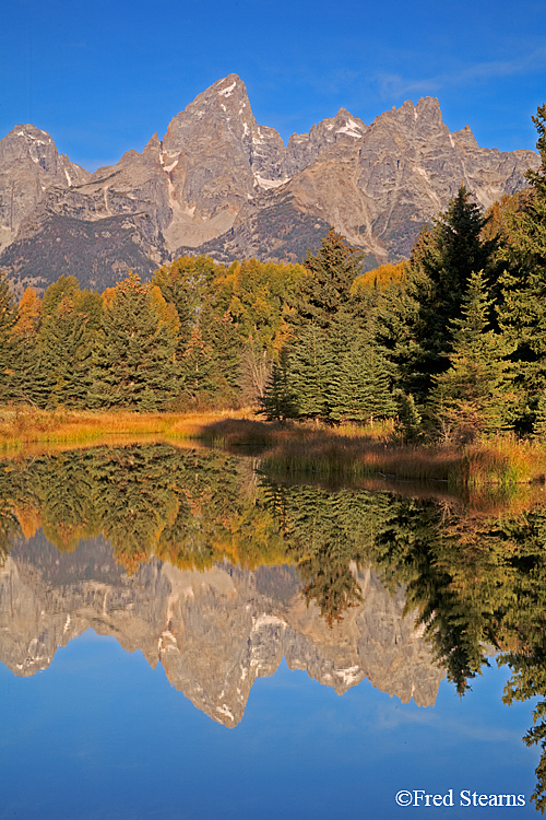 Grand Teton National Park, Schwabacher Landing - Stearns Photography 