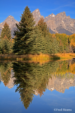 Grand Tetons NP Schwabacher Landing