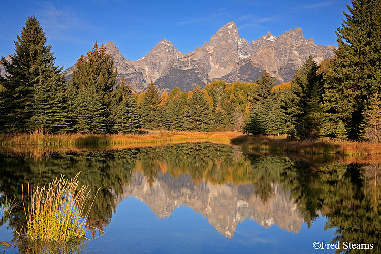 Grand Teton NP Schwabacher Landing