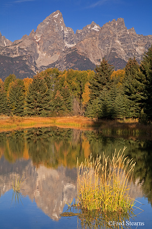 Grand Tetons NP Schwabacher Landing