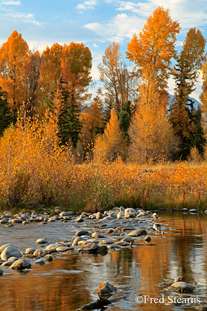 Grand Tetons NP Schwabacher Landing