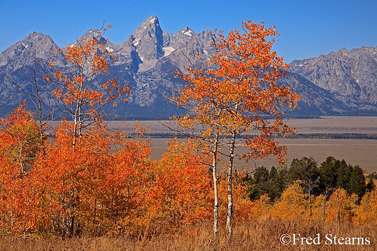 Grand Teton NP Shadow Mountain