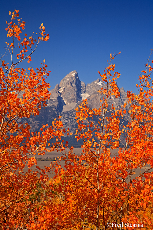 Grand Teton NP Shadow Mountain