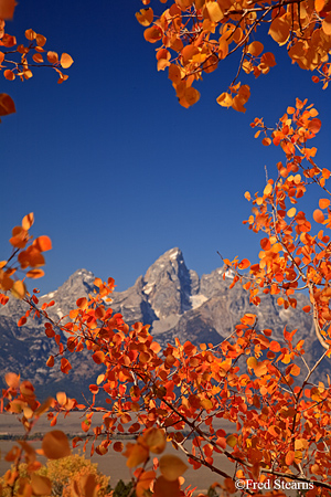 Grand Tetons NP Shadow Mountain