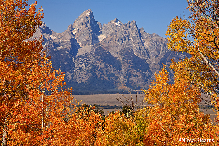 Grand Teton NP Shadow Mountain