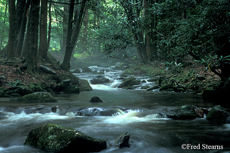 GSMNP Jakes Creek