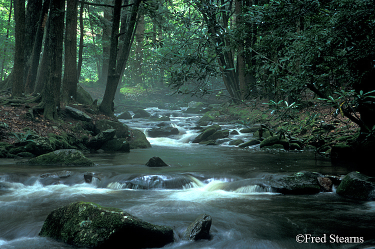 GSMNP Elkmont Jakes Creek