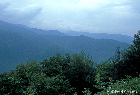 GSMNP Mountains