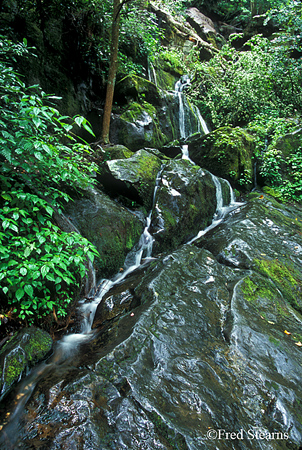 GSMNP Roaring Fork Place of a Thousand Drips