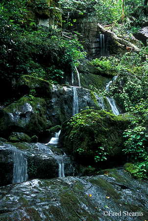 GSMNP Roaring Fork Place of a Thousand Drips