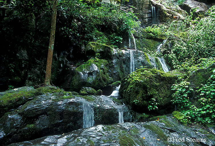 GSMNP Roaring Fork Place of a Thousand Drips