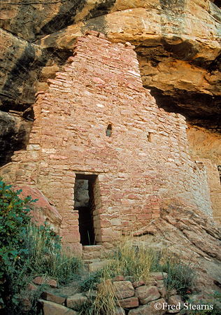 Mesa Verde NP Spruce Tree House