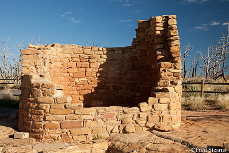 Mesa Verde National Park Cedar Tree Tower