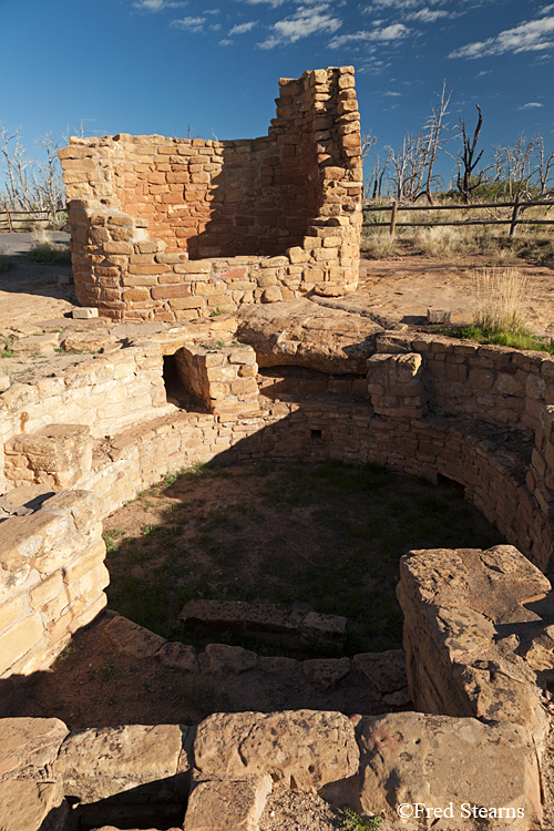 Mesa Verde National Park Cedar Tree Tower