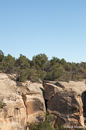 Mesa Verde National Park Cliff Palace