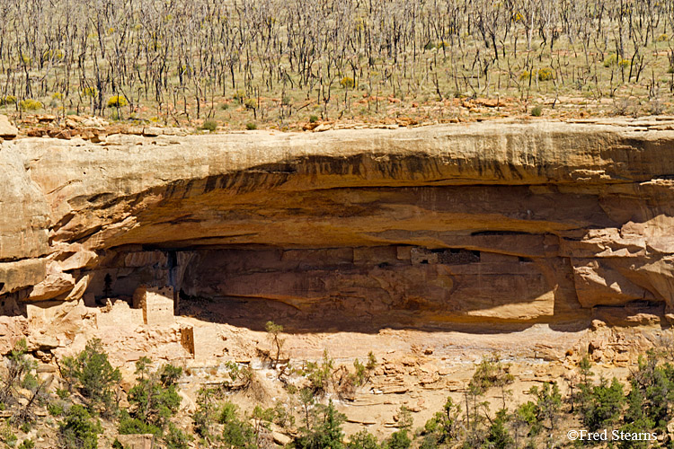 Mesa Verde National Park Hemenway House