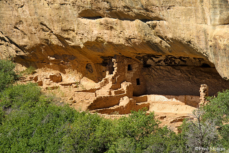 Mesa Verde National Park Oak Tree House