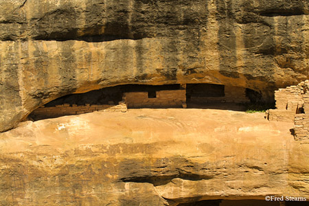 Mesa Verde National Park Oak Tree House