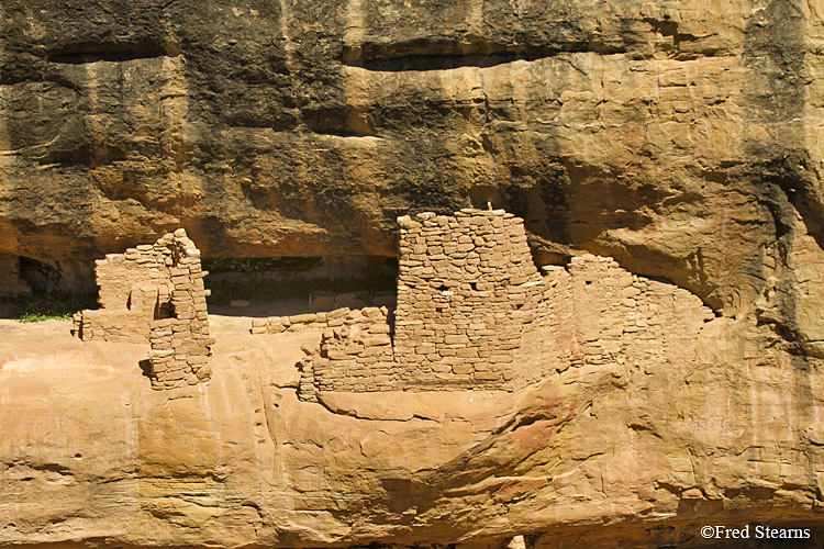 Mesa Verde National Park Oak Tree House