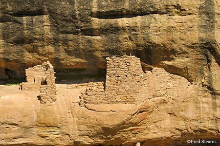 Mesa Verde National Park Oak Tree House