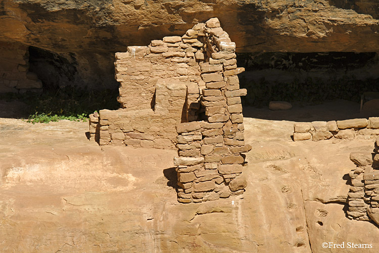 Mesa Verde National Park Oak Tree House