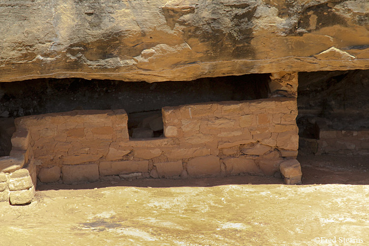 Mesa Verde National Park Oak Tree House