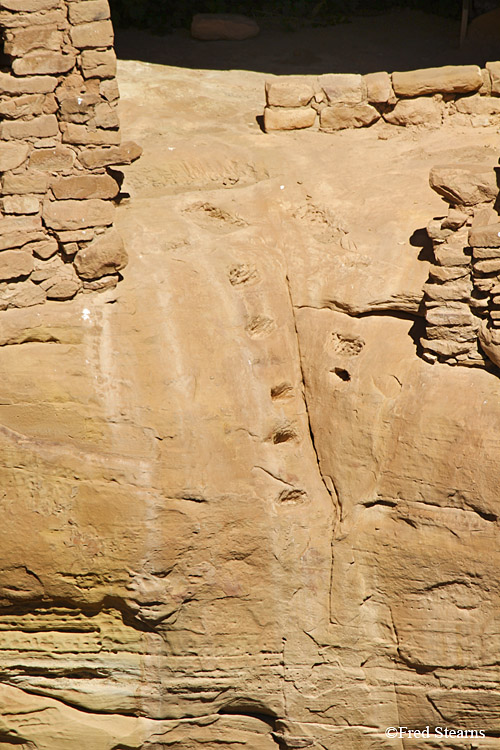 Mesa Verde National Park Oak Tree House