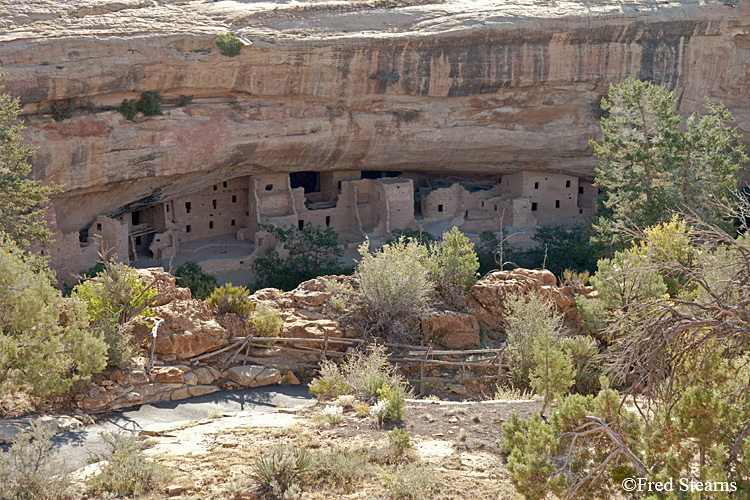 Mesa Verde National Park Spruce Tree House