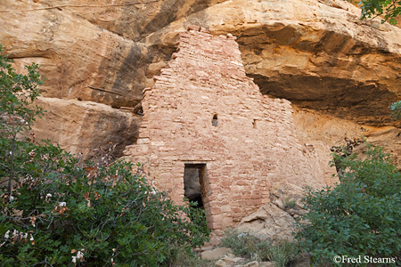 Mesa Verde National Park Spruce Tree House