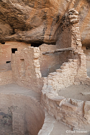 Mesa Verde National Park Spruce Tree House