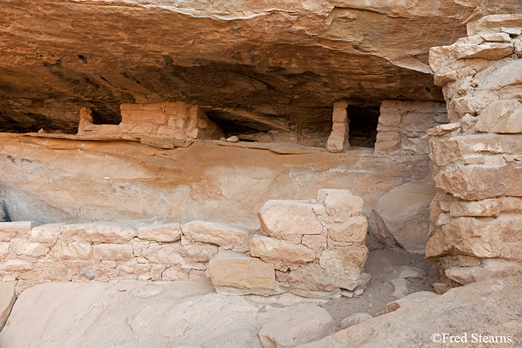 Mesa Verde National Park Spruce Tree House