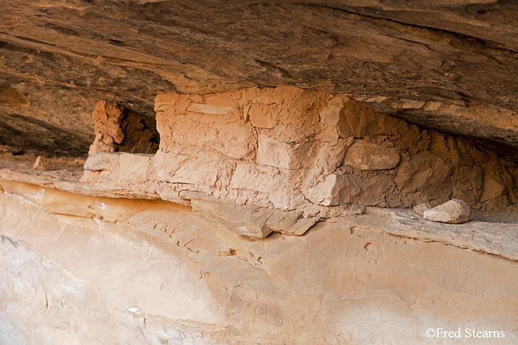 Mesa Verde National Park Spruce Tree House