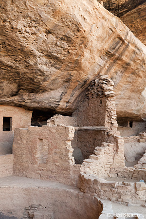 Mesa Verde National Park Spruce Tree House