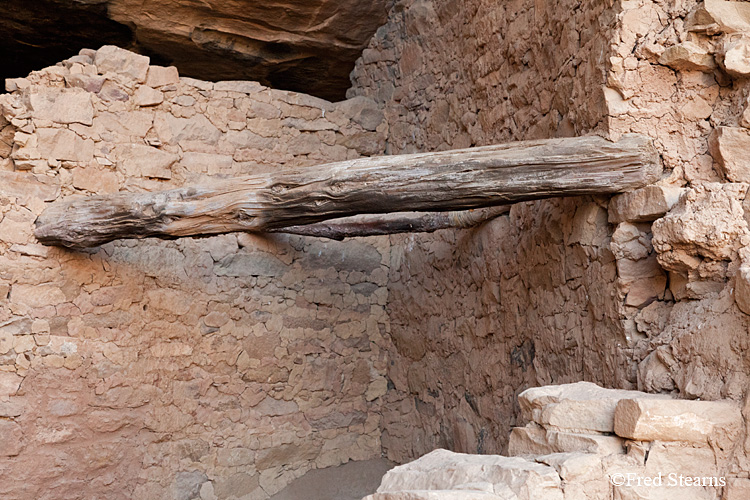 Mesa Verde National Park Spruce Tree House