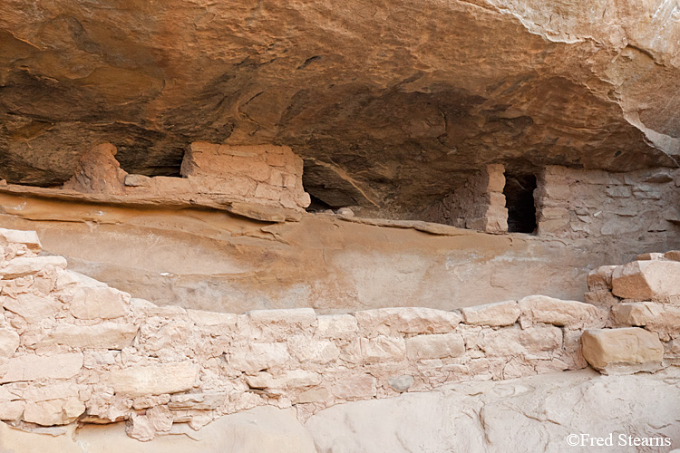 Mesa Verde National Park Spruce Tree House