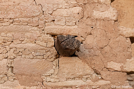 Mesa Verde National Park Spruce Tree House