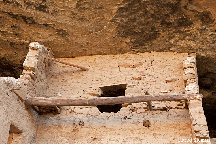 Mesa Verde National Park Spruce Tree House