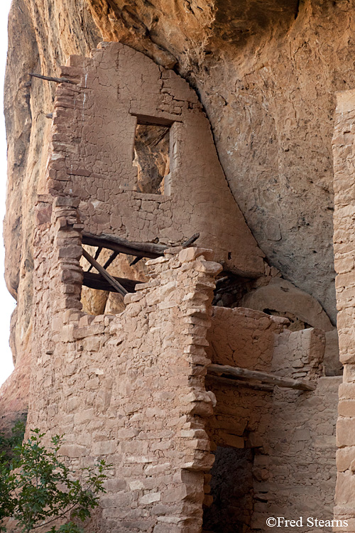 Mesa Verde National Park Spruce Tree House