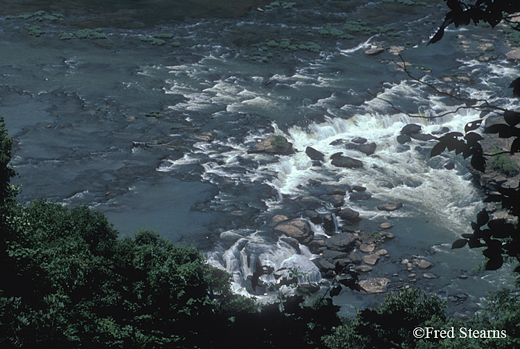 New River Gorge NRA