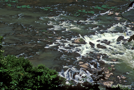 New River Gorge NRA New River Rapids