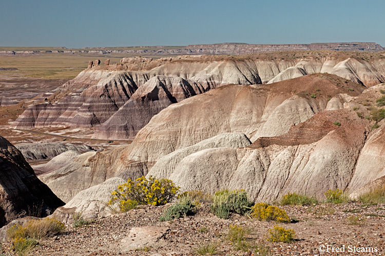 Petrified Forest National Park Blue Mesa