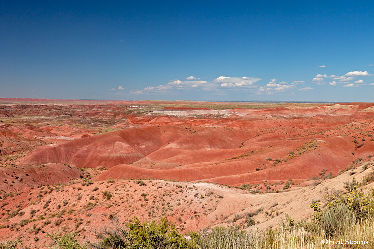 Petrified Forest National Park Painted Desert