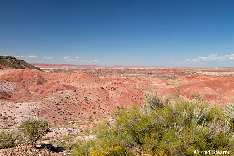 Petrified Forest National Park Painted Desert