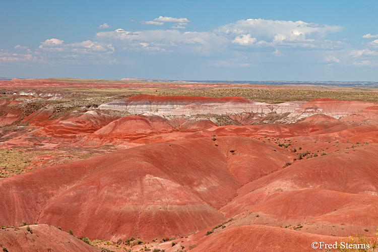 Petrified Forest National Park Painted Desert