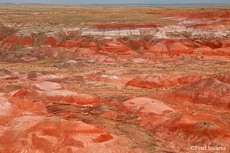 Petrified Forest National Park Painted Desert