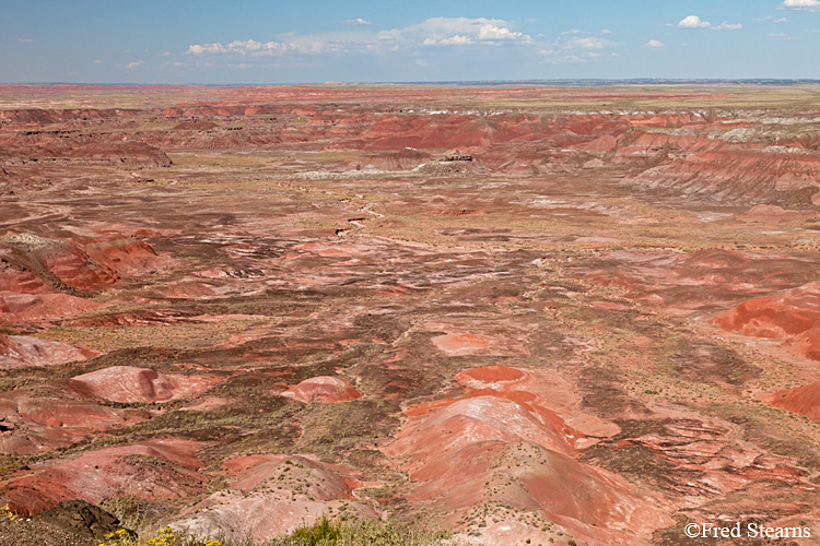 Petrified Forest National Park Painted Desert