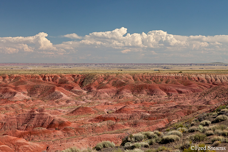 Petrified Forest National Park Painted Desert