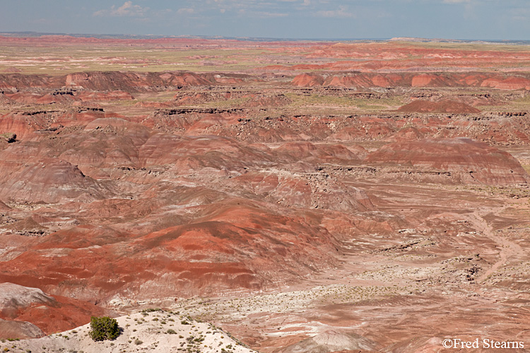 Petrified Forest National Park Painted Desert