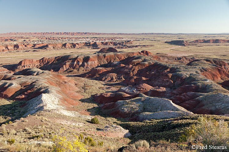 Petrified Forest National Park Painted Desert